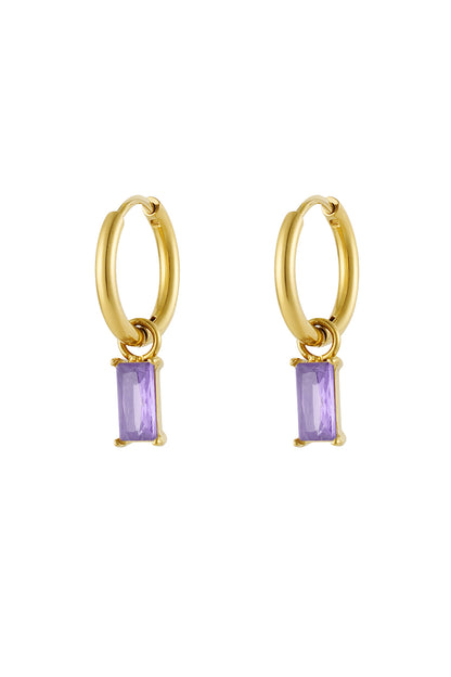 Elegante Crystal Oorbellen