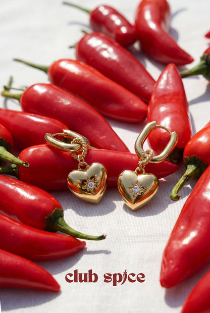 Love Charm Oorbellen